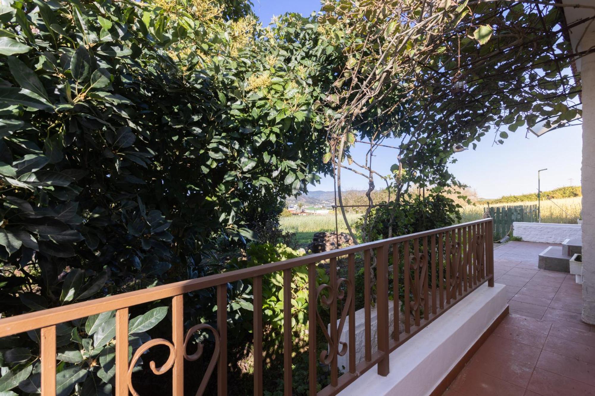 Lightbooking Casa De Campo Ortigal Tenerife La Esperanza  エクステリア 写真