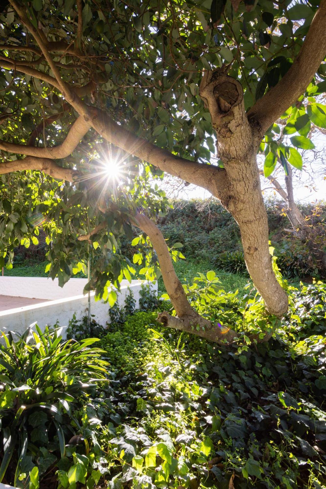 Lightbooking Casa De Campo Ortigal Tenerife La Esperanza  エクステリア 写真